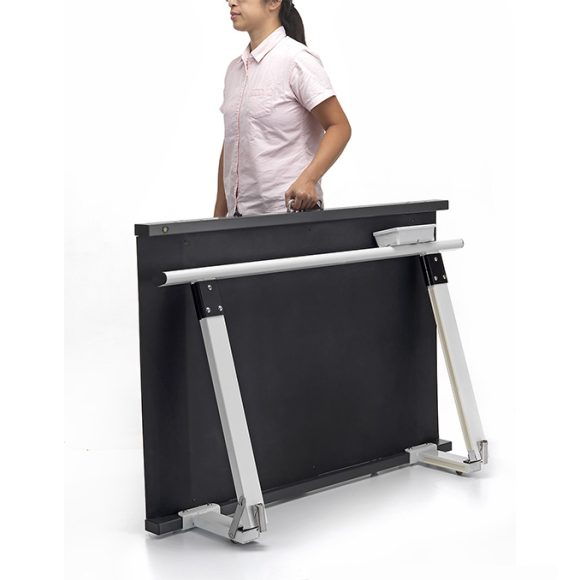 MS3830_Portable 580x580